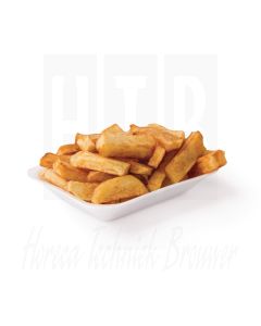 Foam Chip  en  Fish bakje (Box 500)